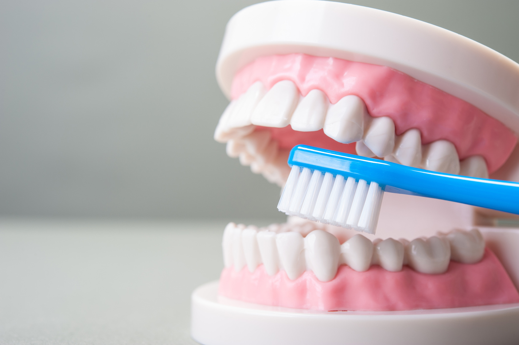 どうして歯石は普通の歯磨きじゃ取れないの？